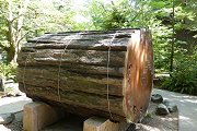 Giant Firewood Cord