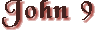 John Chapter 9